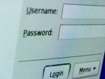 seguridad empresa